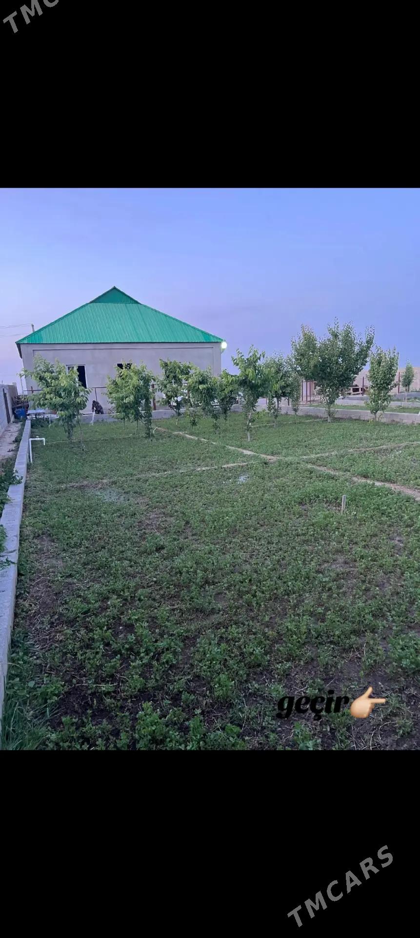 satlyk jay - Ак-Бугдайский этрап - img 5