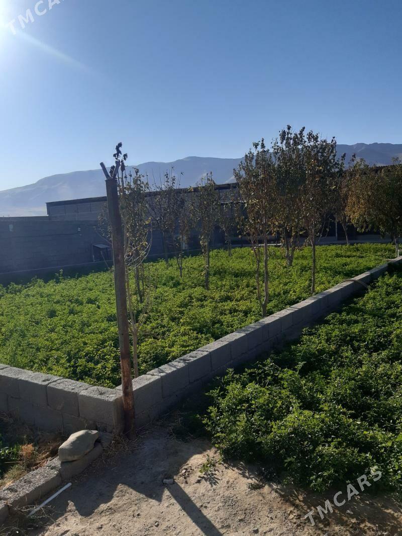 satlyk jay - Ак-Бугдайский этрап - img 8