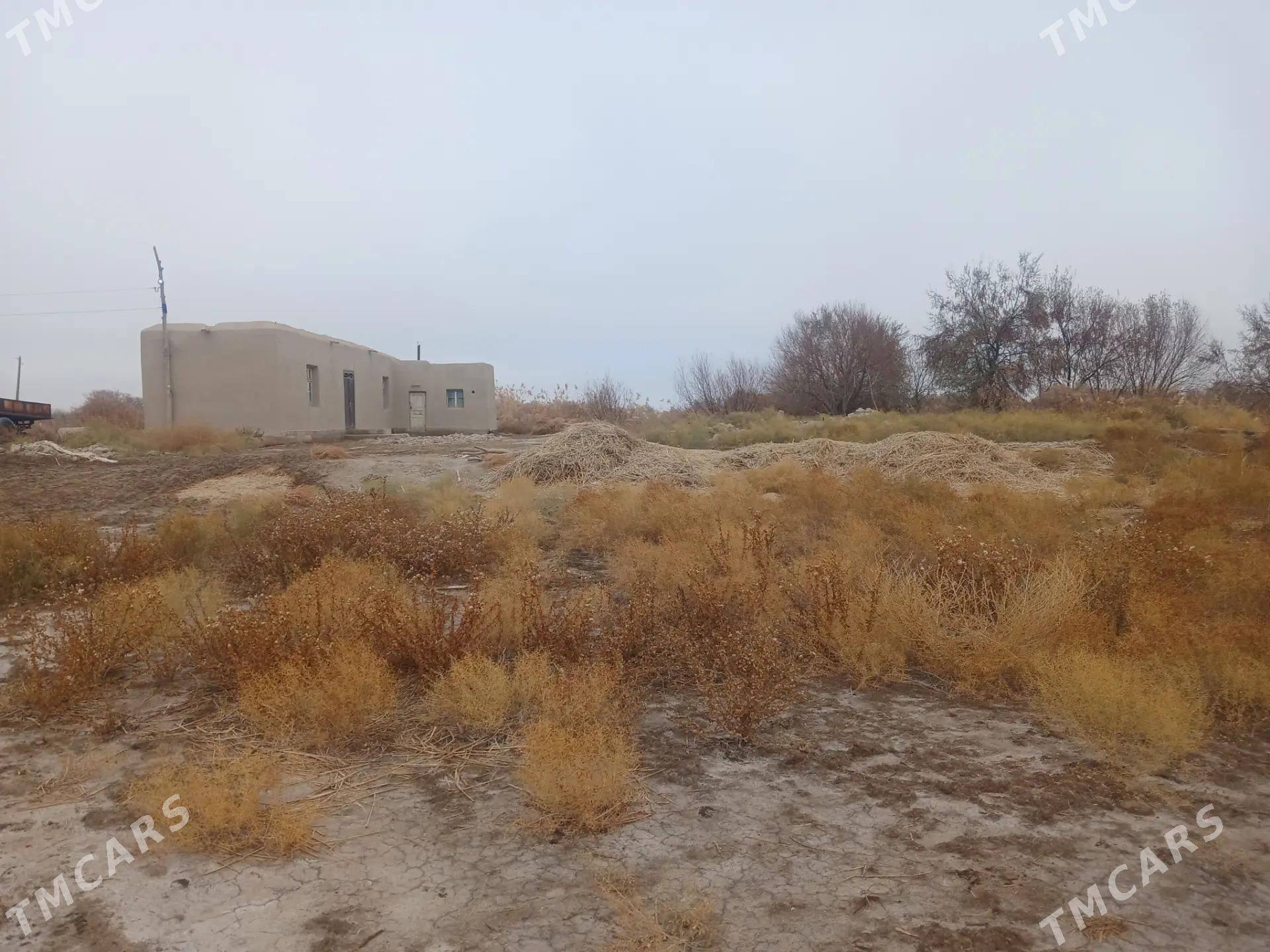 Satlyk Jaý. - етр. Туркменбаши - img 3