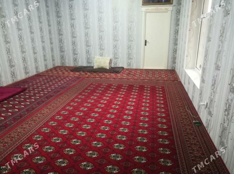 Satlyk Howly Jay  - Mary - img 5