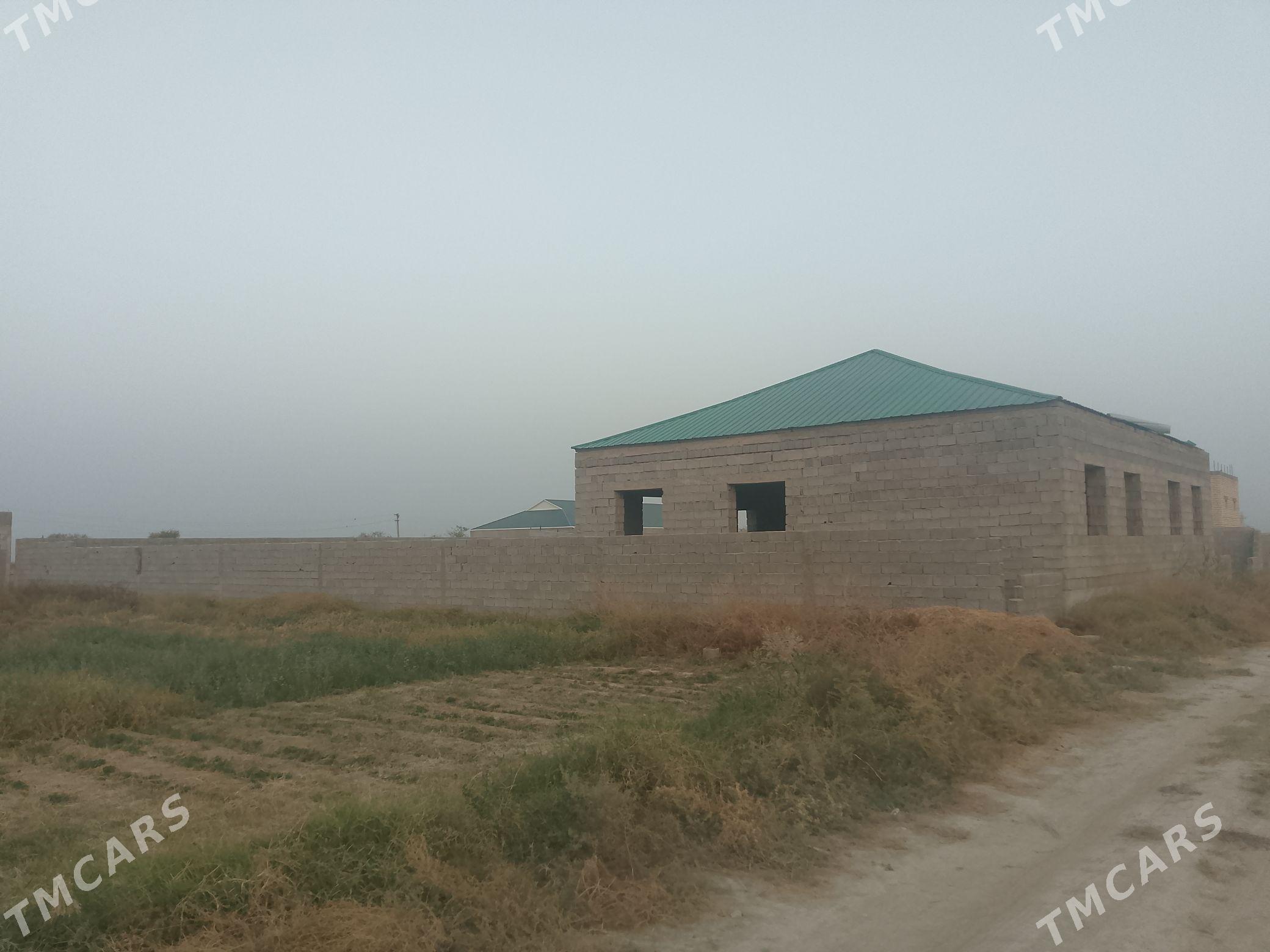 jaý mellek - Gökdepe - img 2