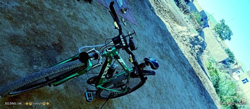 SPARTIWNY WELISAPET - Гороглы (Тагта) - img 3