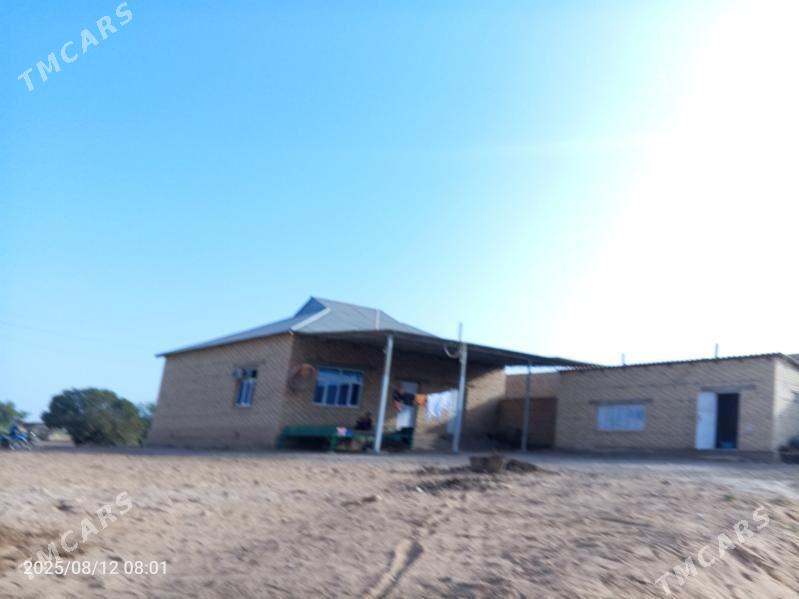 satlyk jaylar - Babadaýhan - img 1