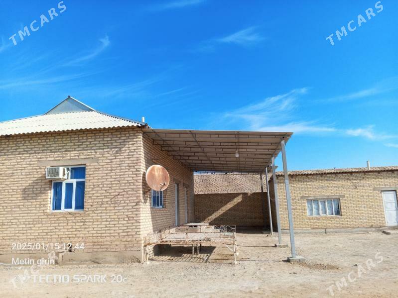 satlyk jaylar - Babadaýhan - img 2