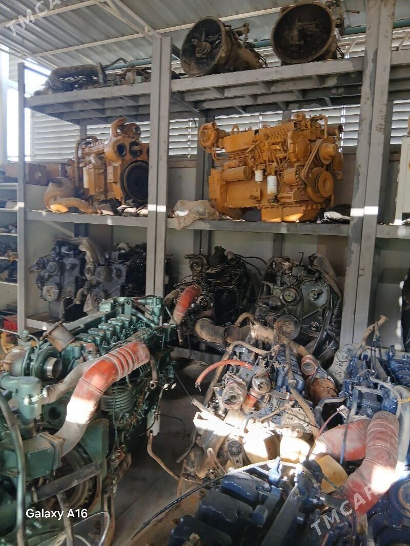 morda mator 40 000 TMT - Gypjak - img 2