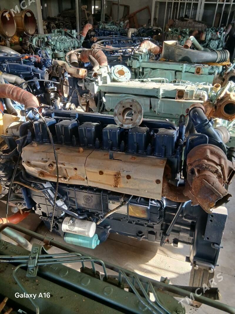 morda mator 40 000 TMT - Gypjak - img 3