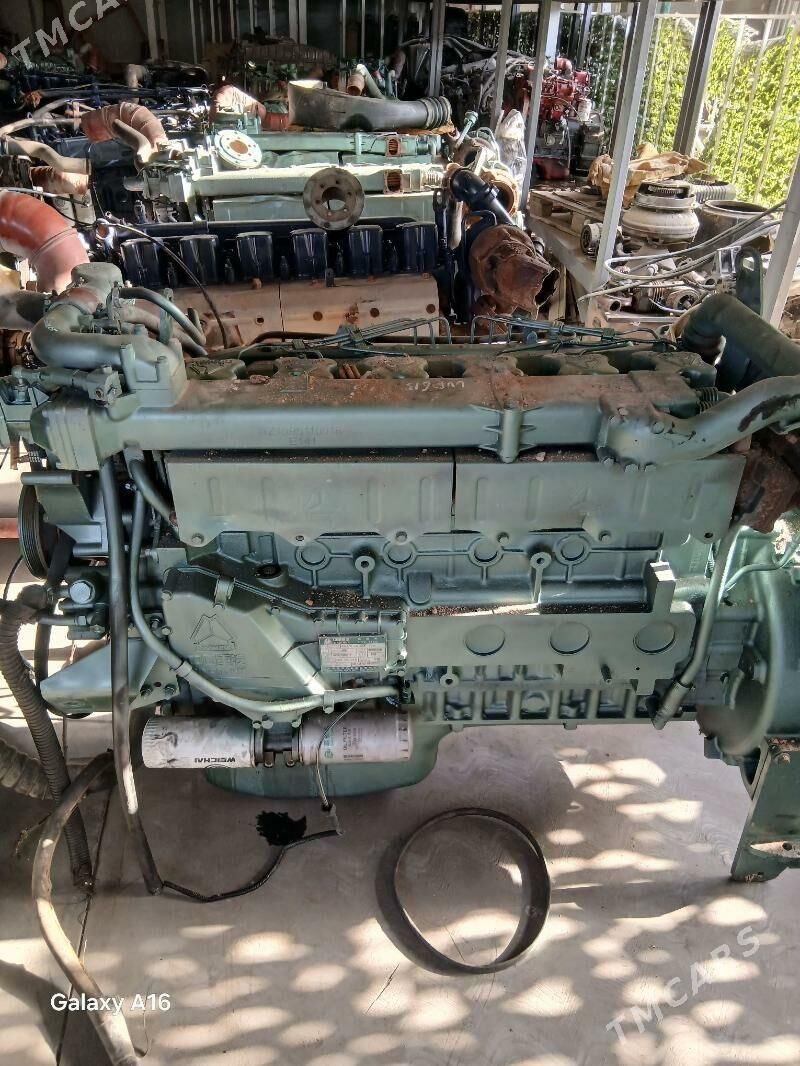 morda mator 40 000 TMT - Gypjak - img 5