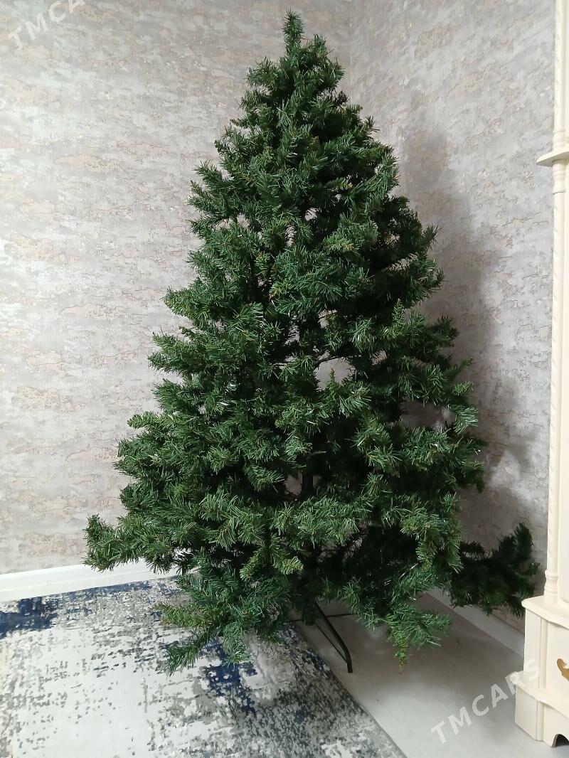 arça - Garadamak - img 2