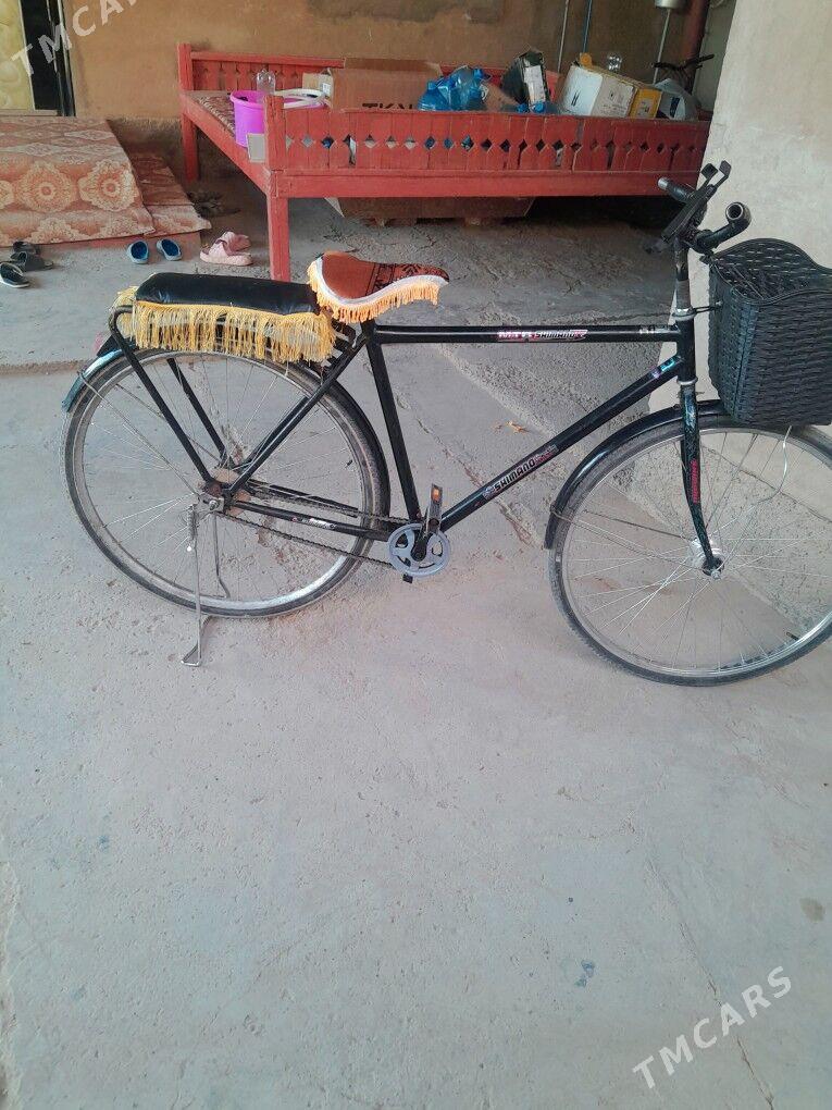 Tigir 28 lik - Tejen - img 3