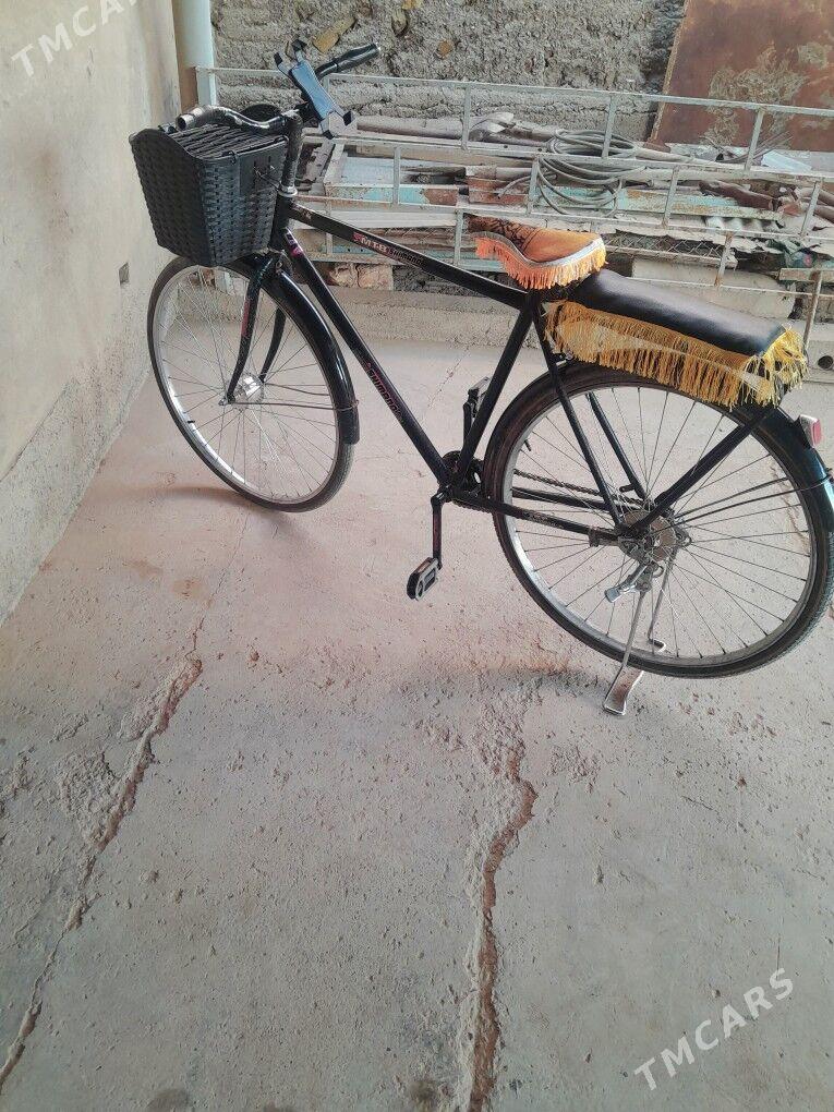 Tigir 28 lik - Tejen - img 1