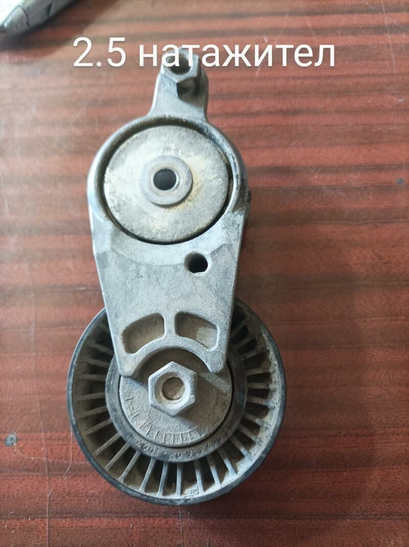 мини мордалар, mini mordalar 4 000 TMT - Türkmenabat - img 8