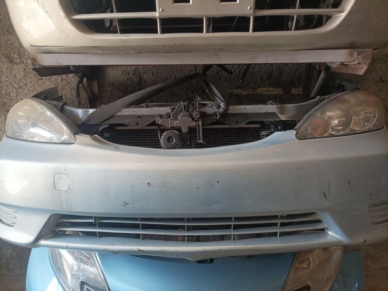 мини мордалар, mini mordalar 4 000 TMT - Türkmenabat - img 2