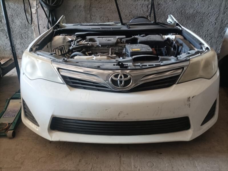 мини мордалар, mini mordalar 4 000 TMT - Türkmenabat - img 6