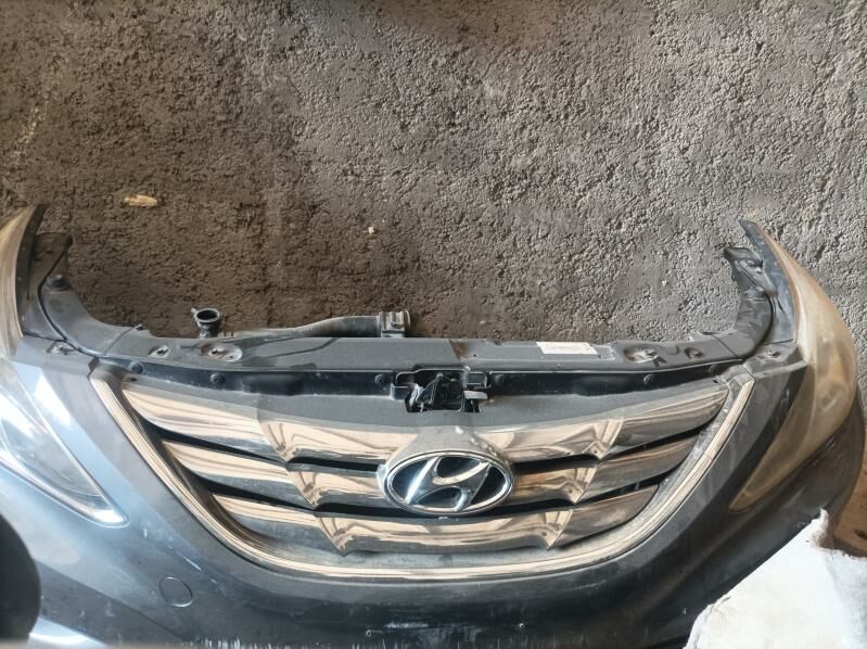 мини мордалар, mini mordalar 4 000 TMT - Türkmenabat - img 5