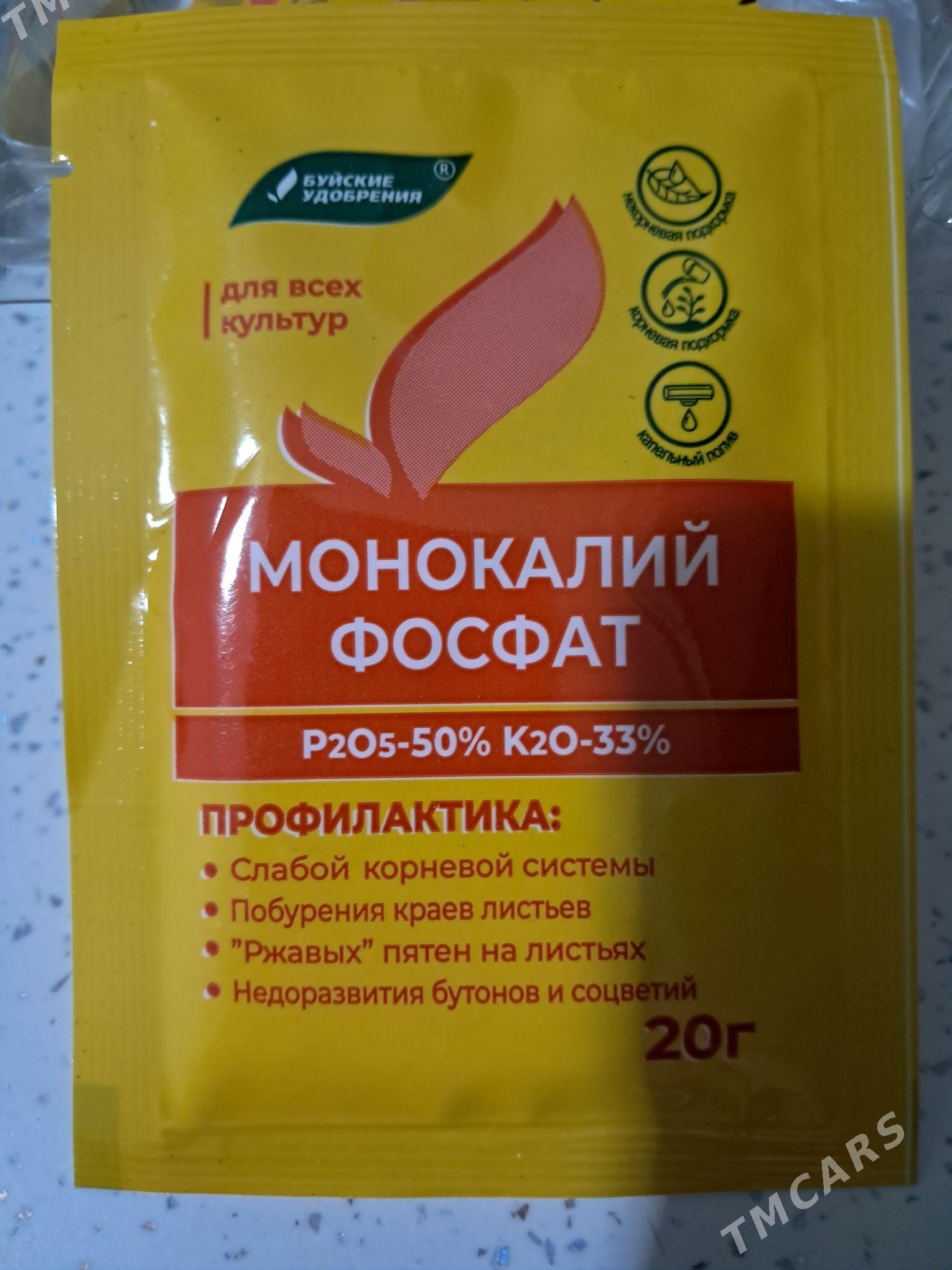 Gullerin̈ dokunleri - Ашхабад - img 2