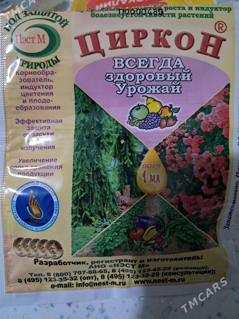 Gullerin̈ dokunleri - Ашхабад - img 4