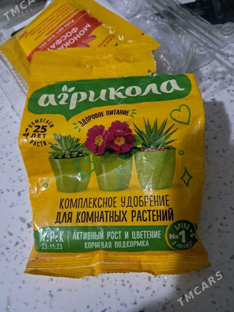 Gullerin̈ dokunleri - Ашхабад - img 5