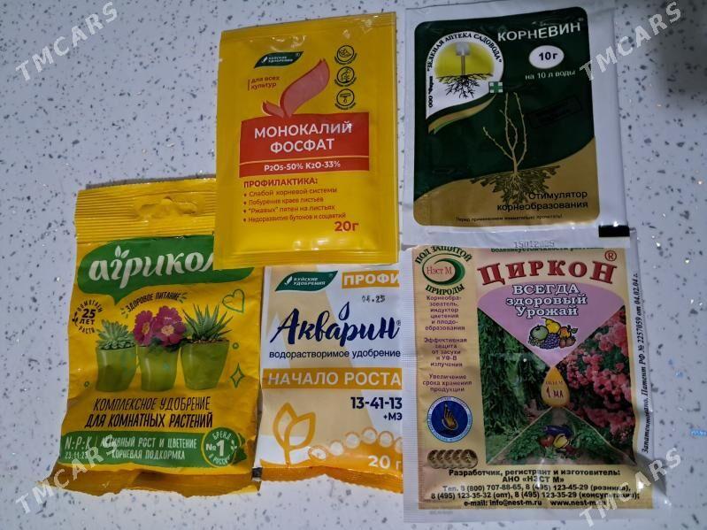 Gullerin̈ dokunleri - Ашхабад - img 6