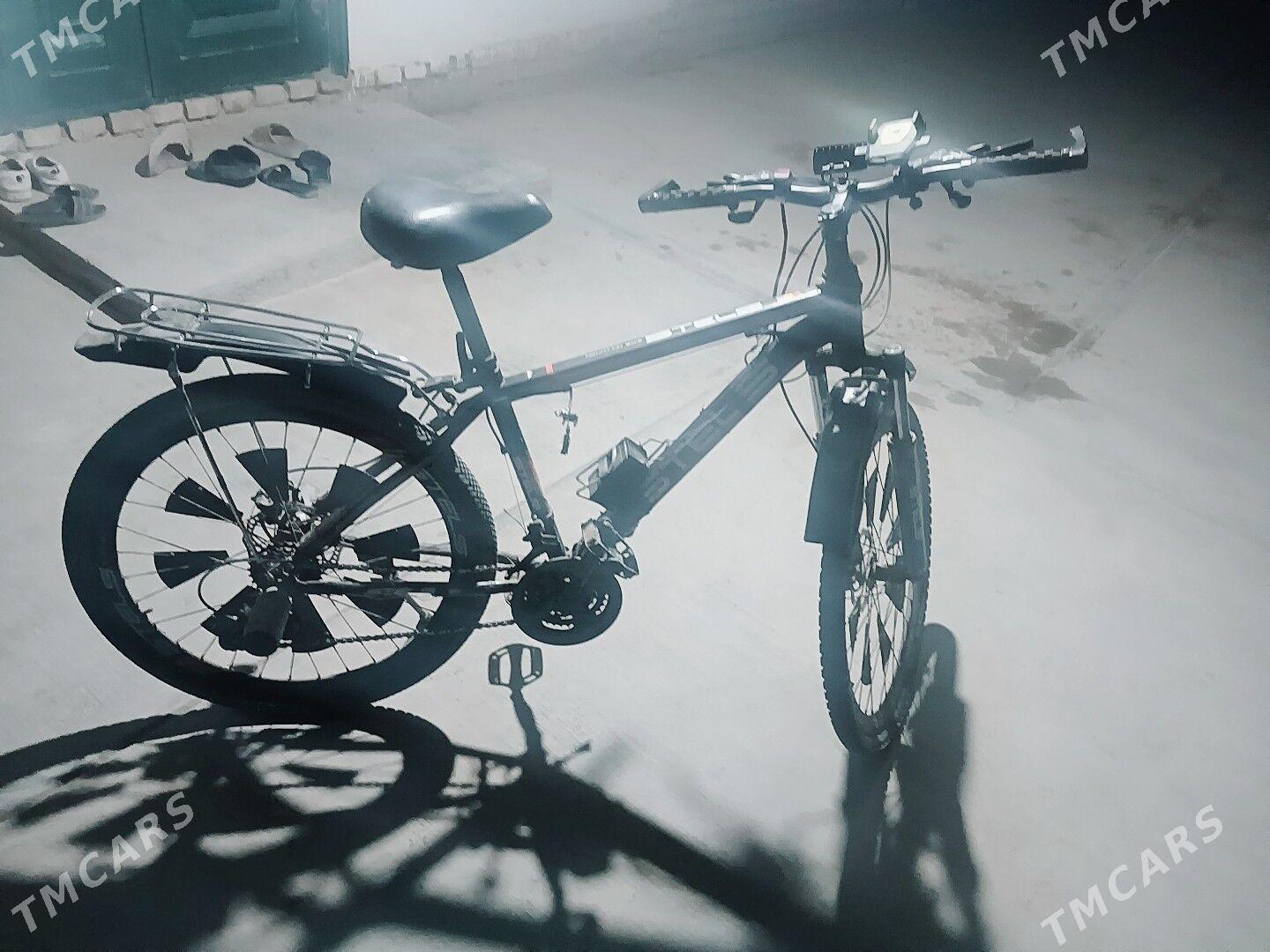 welosped - Гороглы (Тагта) - img 4