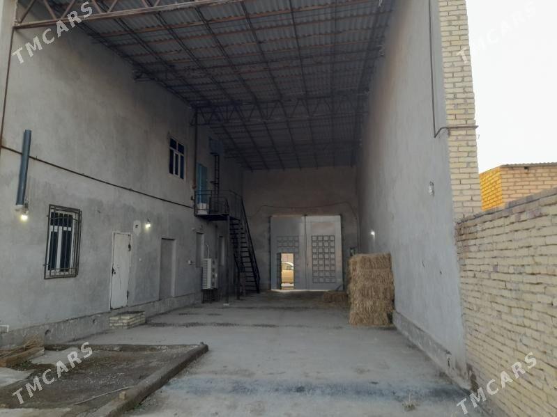 melek jaÿ - Чарджоу - img 2