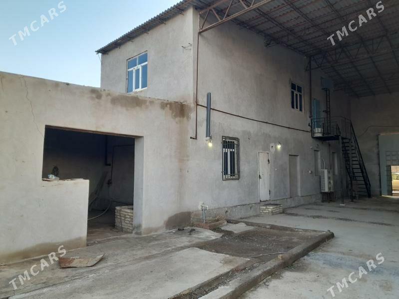 melek jaÿ - Чарджоу - img 3