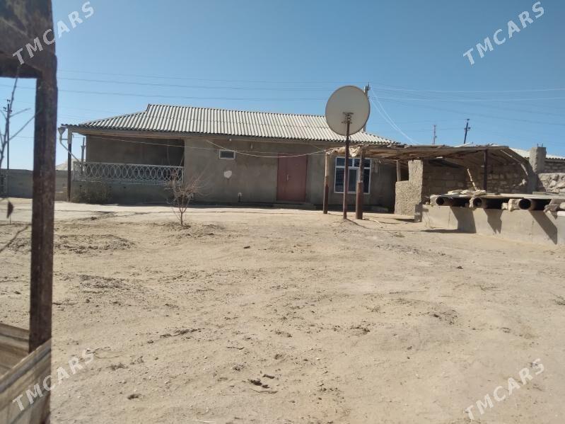 satlyk jay - Esenguly - img 2