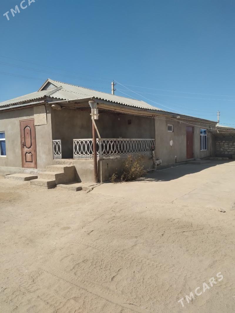 satlyk jay - Esenguly - img 1