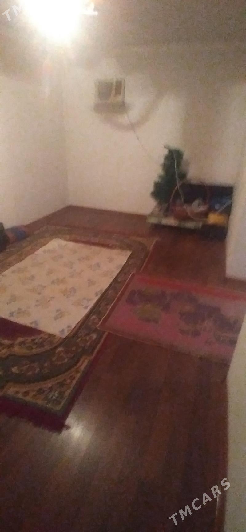 satlyk jay - Esenguly - img 5