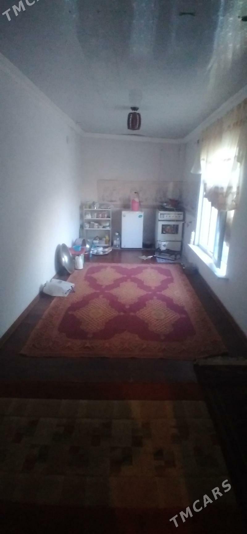 satlyk jay - Esenguly - img 7