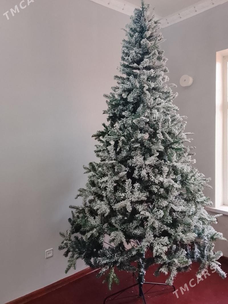 Yolka - Aşgabat - img 3