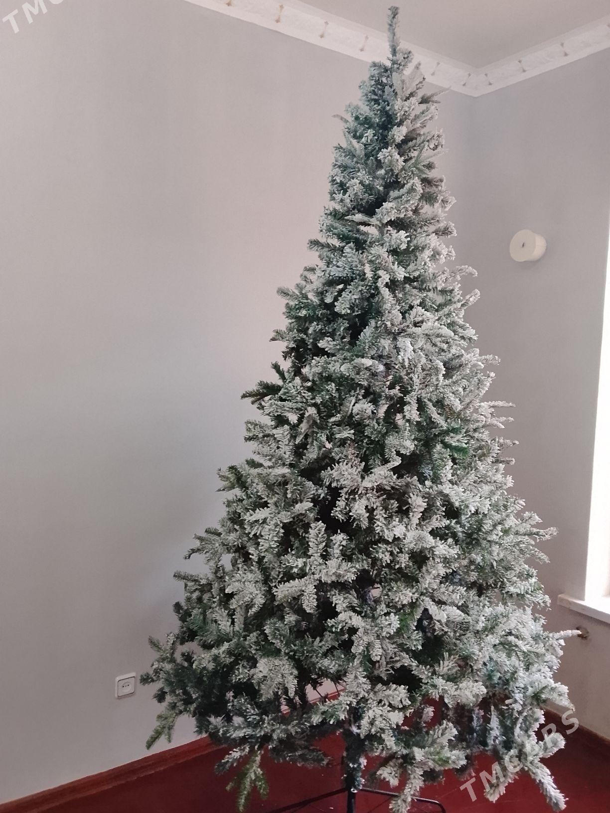 Yolka - Aşgabat - img 1