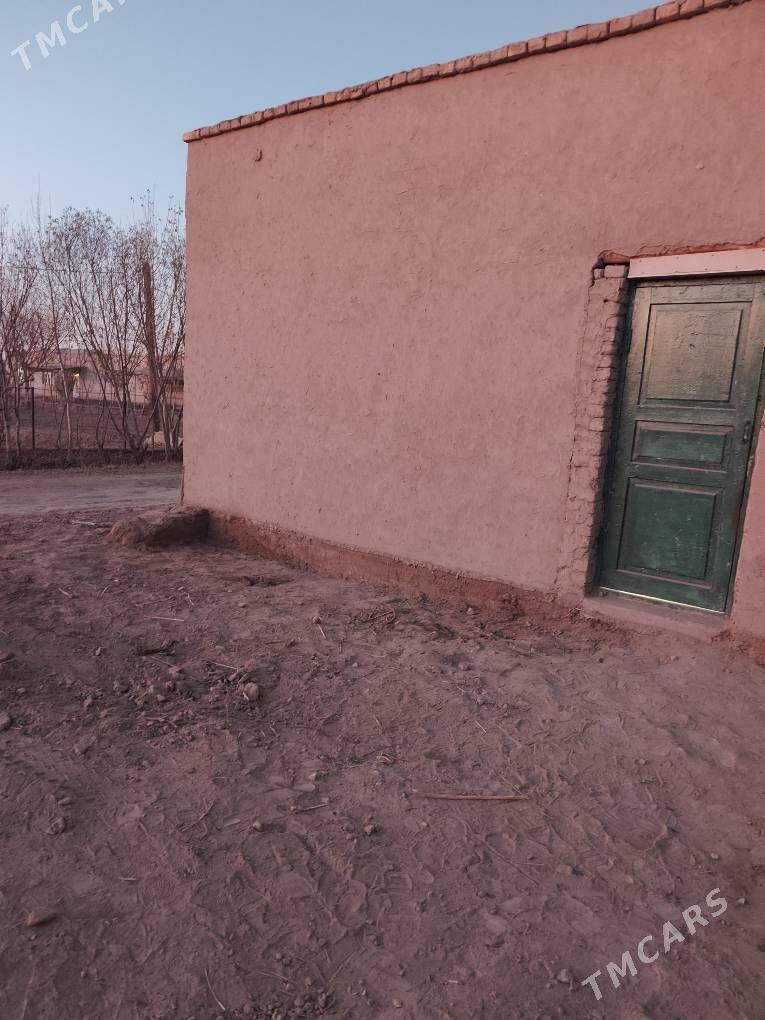 satlyk jay - Кёнеургенч - img 5