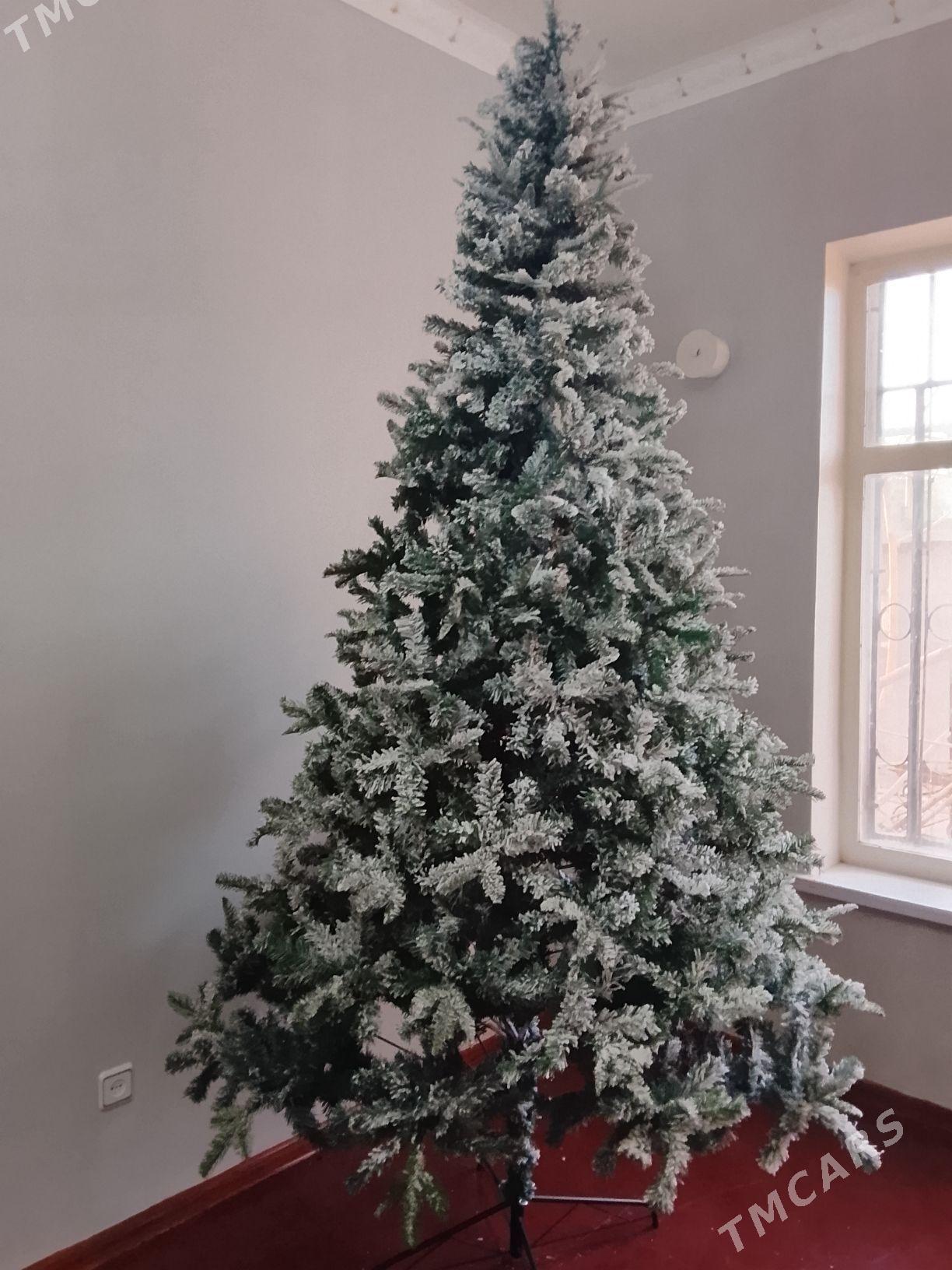 Yolka - Aşgabat - img 2