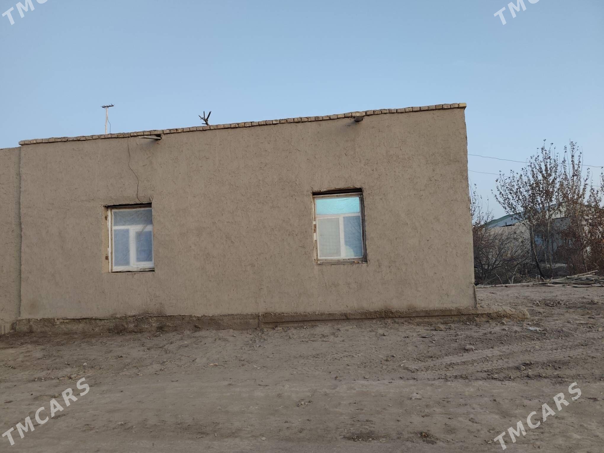 satlyk jay - Кёнеургенч - img 4