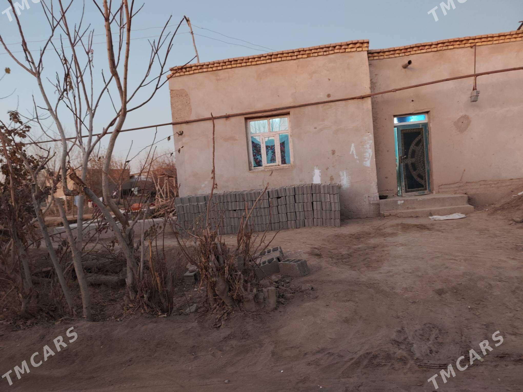 satlyk jay - Кёнеургенч - img 6