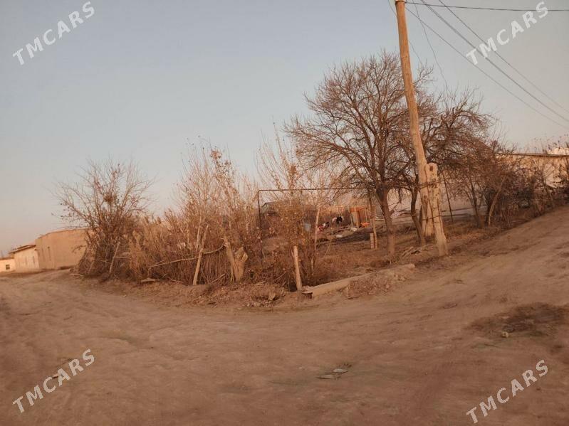 satlyk jay - Кёнеургенч - img 3