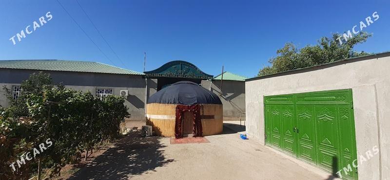 той палата - Daşoguz - img 4