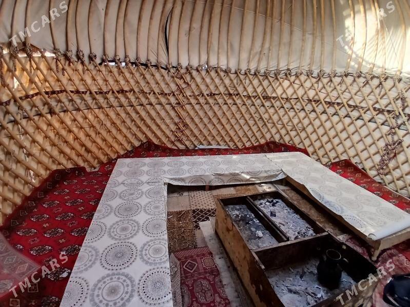 той палата - Daşoguz - img 5