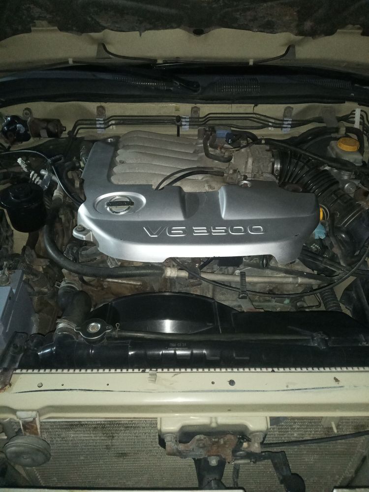 Diwitil 5 000 TMT - Гумдаг - img 1