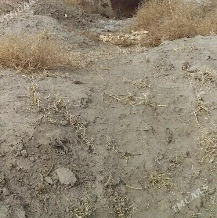 mellek (daça,  дача) - Türkmenabat - img 1