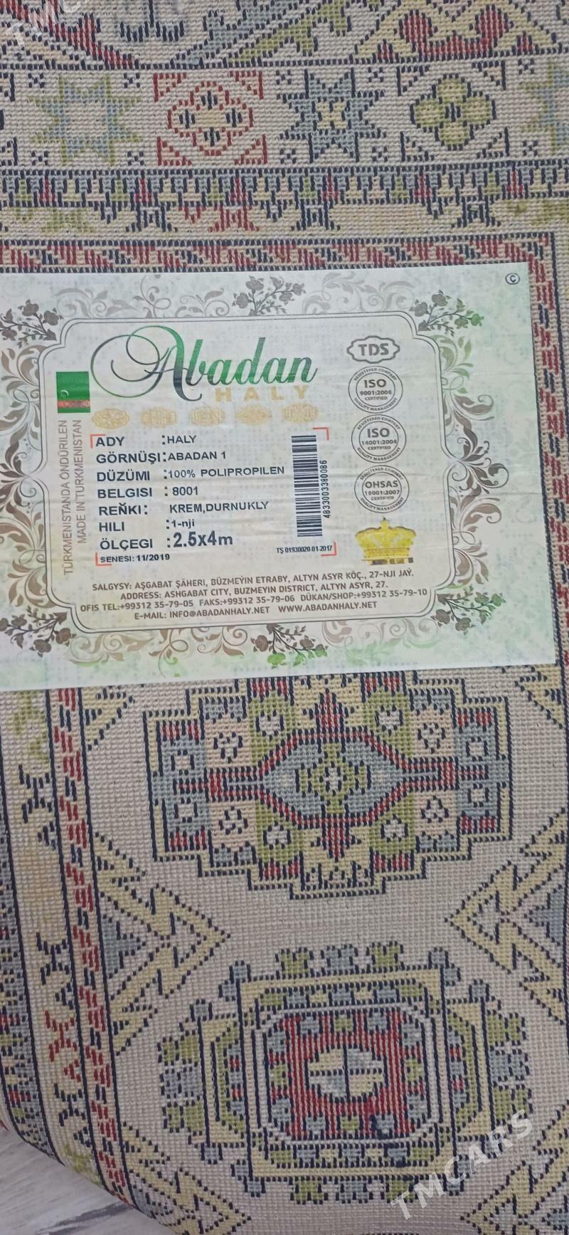 Haly - Türkmenabat - img 2