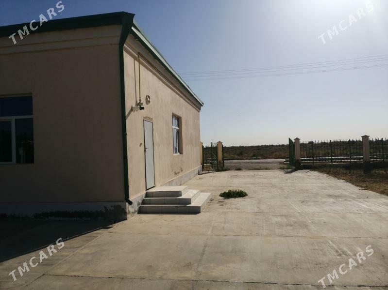 satlyk jay dowletli zaman mary - Мары - img 2