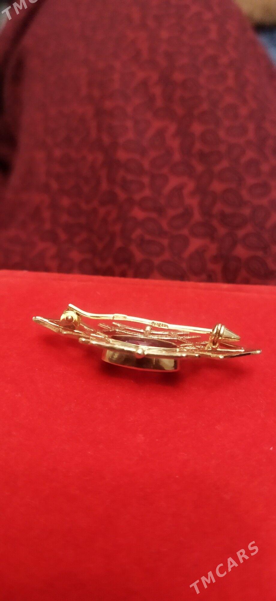 gyzyl broşka - Бузмеин - img 4