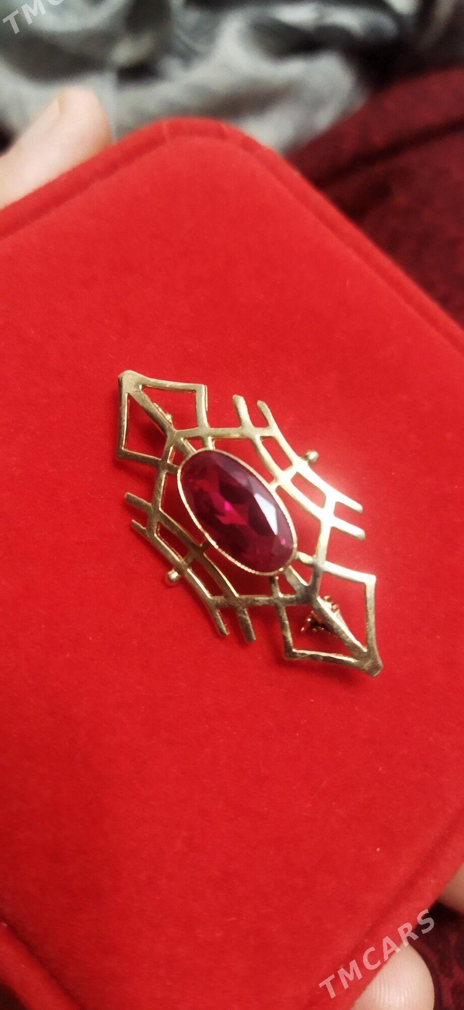 gyzyl broşka - Бузмеин - img 5