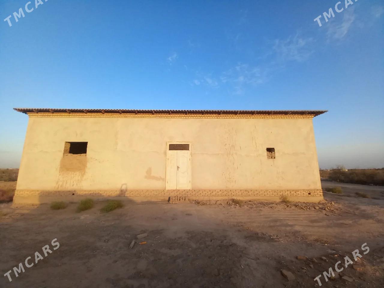 Jay - Daşoguz - img 2