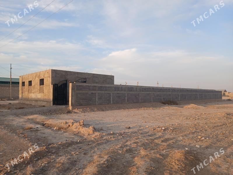 demirgazyk gundogar yer - Gyzylarbat - img 2