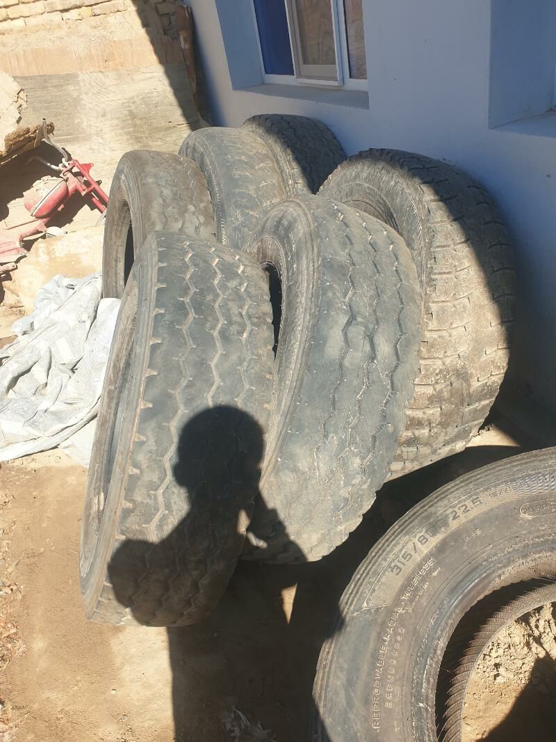 Tiger 300 TMT - Байрамали - img 5