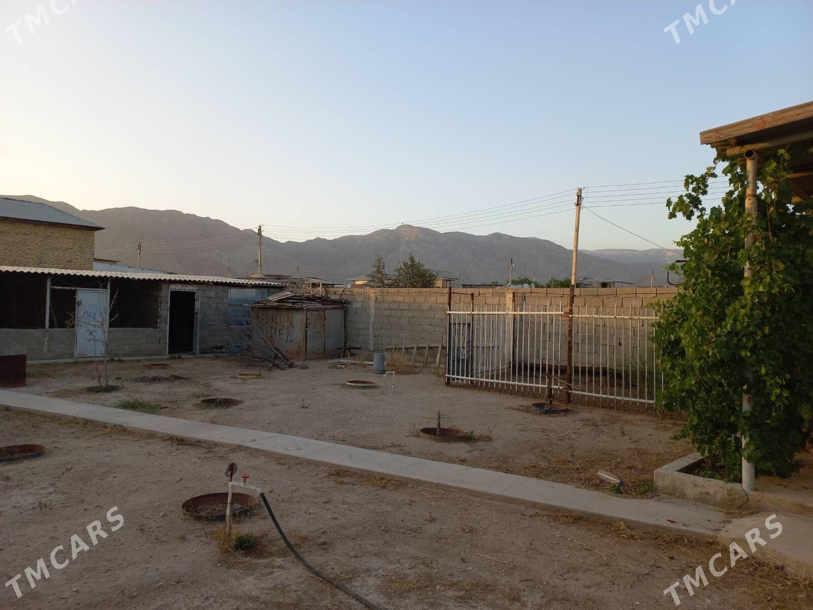 Daça - Балканабат - img 6