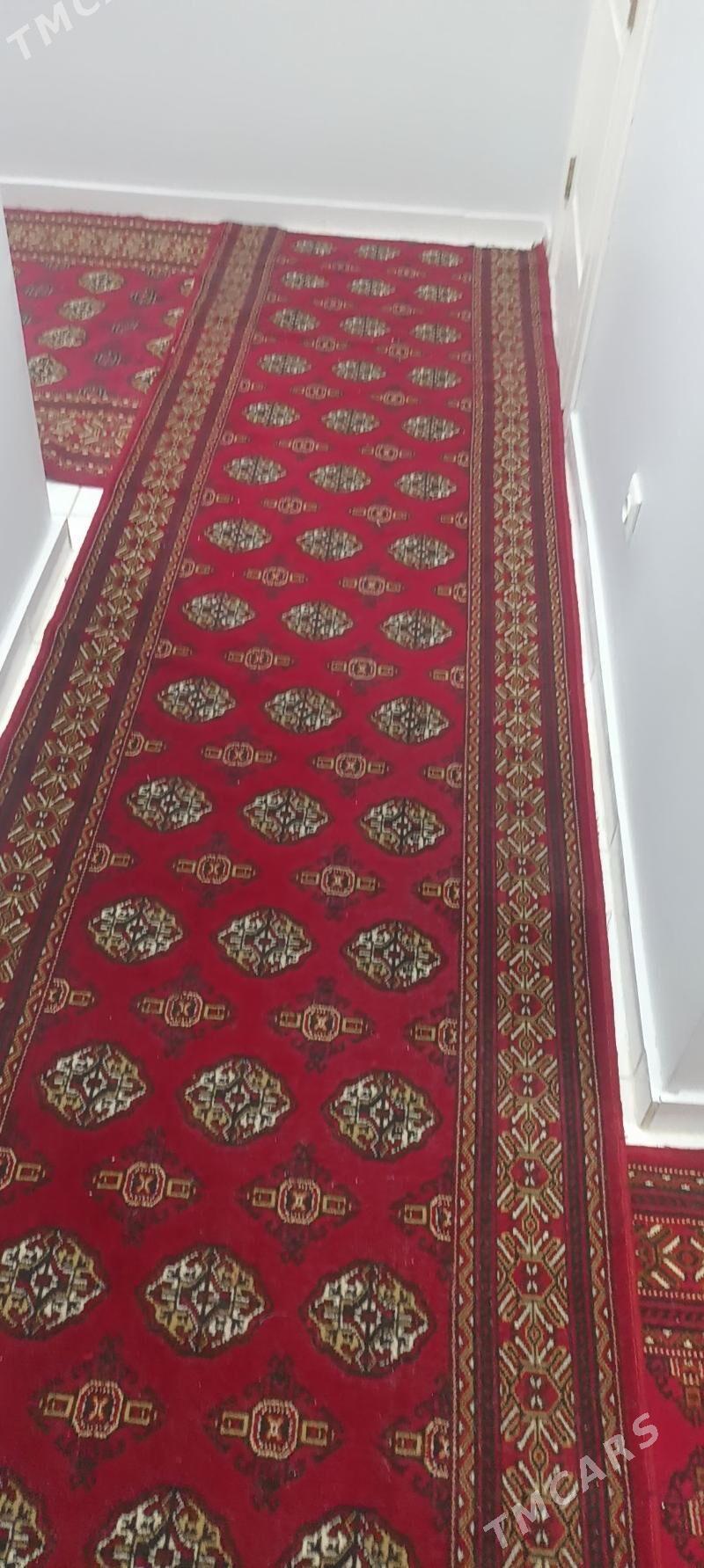 haly - Türkmenbaşy - img 3