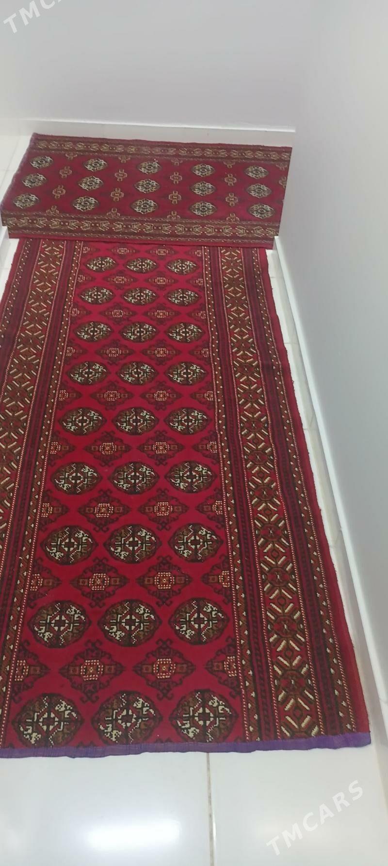 haly - Türkmenbaşy - img 4